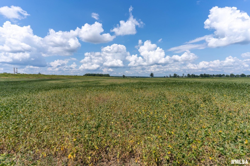 0000 Highway 146, McClure, Illinois 62957, 0 , 0 ,0,Land,For Sale,Highway 146,0,RMACA1038774