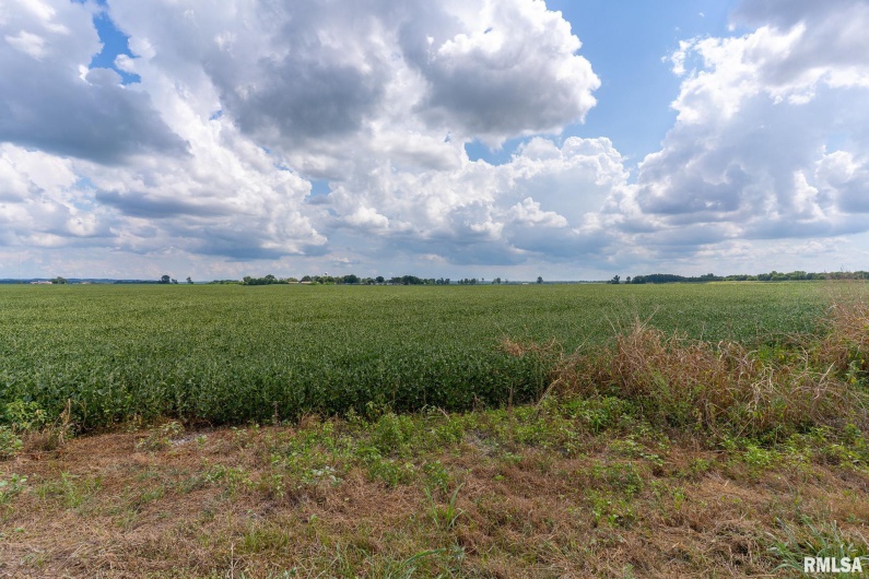 0000 Highway 146, McClure, Illinois 62957, 0 , 0 ,0,Land,For Sale,Highway 146,0,RMACA1038774