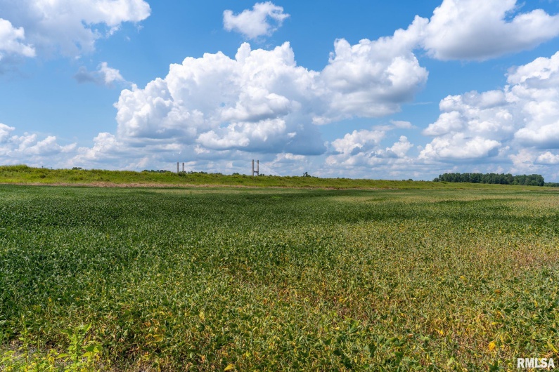 0000 Highway 146, McClure, Illinois 62957, 0 , 0 ,0,Land,For Sale,Highway 146,0,RMACA1038774