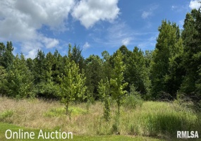 CAMPUS Drive, Carbondale, Illinois 62901, 0 , 0 ,0,Land,For Sale,CAMPUS,0,RMAEB459453