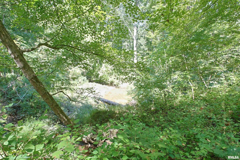 000 ANTIOCH Lane, Cobden, Illinois 62920, 0 , 0 ,0,Land,For Sale,ANTIOCH,0,RMAEB459477
