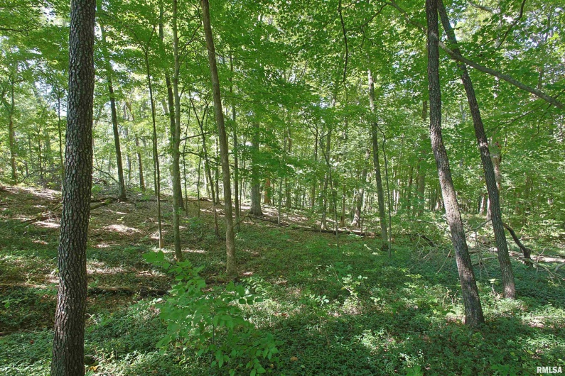 000 ANTIOCH Lane, Cobden, Illinois 62920, 0 , 0 ,0,Land,For Sale,ANTIOCH,0,RMAEB459477