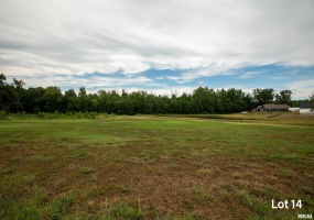 1301 WAYNE Avenue, Marion, Illinois 62959, 0 , 0 ,0,Land,For Sale,WAYNE,0,RMAEB459481