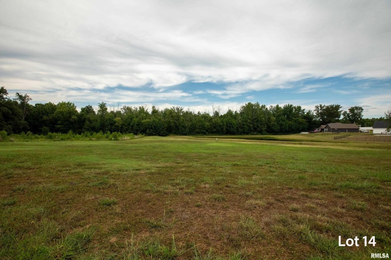 1301 WAYNE Avenue, Marion, Illinois 62959, 0 , 0 ,0,Land,For Sale,WAYNE,0,RMAEB459481