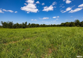 000 Hawkins Road, Vienna, Illinois 62995, 0 , 0 ,0,Land,For Sale,Hawkins,0,RMACA1038824