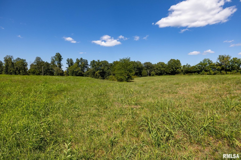 000 Hawkins Road, Vienna, Illinois 62995, 0 , 0 ,0,Land,For Sale,Hawkins,0,RMACA1038824