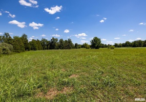 001 Hawkins Road, Vienna, Illinois 62995, 0 , 0 ,0,Land,For Sale,Hawkins,0,RMACA1038826