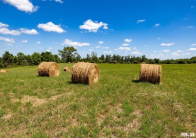 002 Hawkins Road, Vienna, Illinois 62995, 0 , 0 ,0,Land,For Sale,Hawkins,0,RMACA1038833