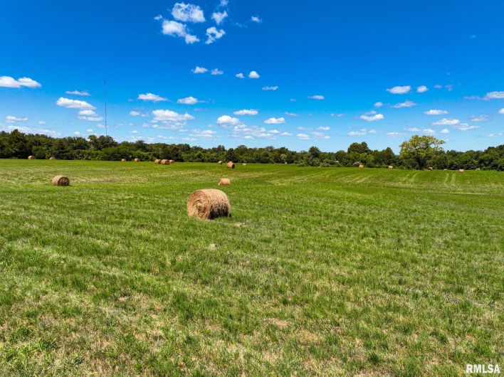 003 Hawkins Road, Vienna, Illinois 62995, 0 , 0 ,0,Land,For Sale,Hawkins,0,RMACA1038834