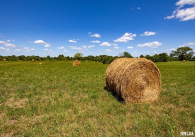 003 Hawkins Road, Vienna, Illinois 62995, 0 , 0 ,0,Land,For Sale,Hawkins,0,RMACA1038834