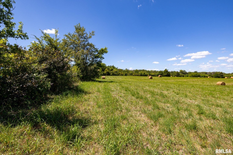 003 Hawkins Road, Vienna, Illinois 62995, 0 , 0 ,0,Land,For Sale,Hawkins,0,RMACA1038834