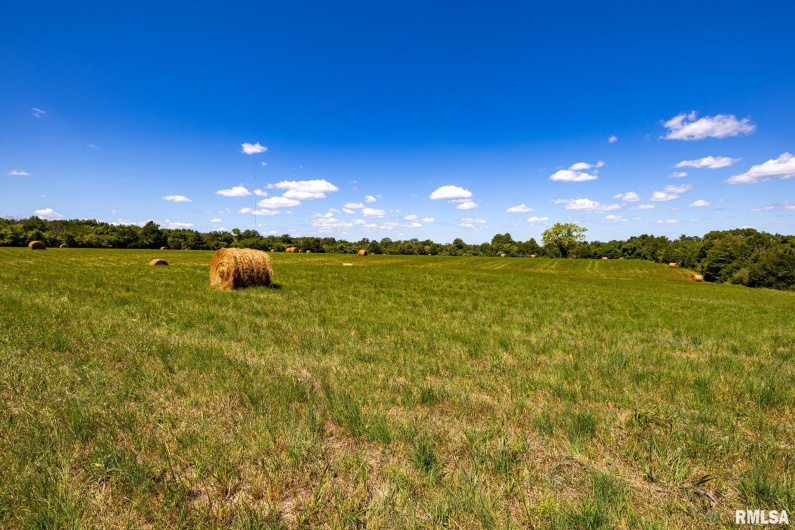 003 Hawkins Road, Vienna, Illinois 62995, 0 , 0 ,0,Land,For Sale,Hawkins,0,RMACA1038834