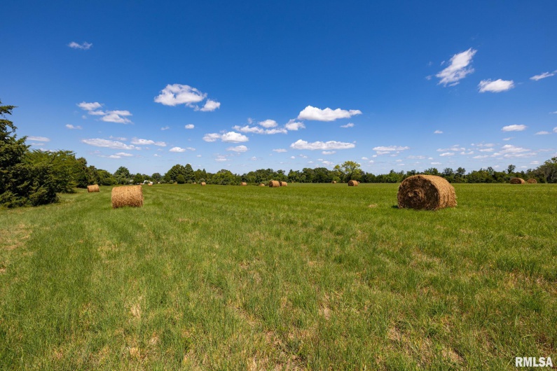 003 Hawkins Road, Vienna, Illinois 62995, 0 , 0 ,0,Land,For Sale,Hawkins,0,RMACA1038834