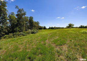 004 Hawkins Road, Vienna, Illinois 62995, 0 , 0 ,0,Land,For Sale,Hawkins,0,RMACA1038835