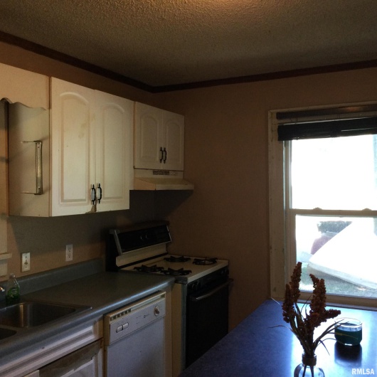 304 DOUGLAS Street, Anna, Illinois 62906, 2 Bedrooms Bedrooms, 0 ,1 BathroomBathrooms,Residential,For Sale,DOUGLAS,0,RMAQC4266849