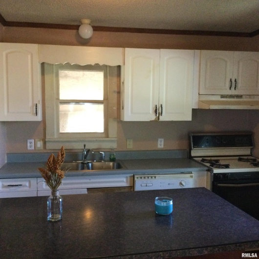 304 DOUGLAS Street, Anna, Illinois 62906, 2 Bedrooms Bedrooms, 0 ,1 BathroomBathrooms,Residential,For Sale,DOUGLAS,0,RMAQC4266849