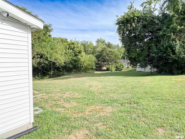314 DOUGLAS Street, Anna, Illinois 62906, 2 Bedrooms Bedrooms, 0 ,1 BathroomBathrooms,Residential,For Sale,DOUGLAS,0,RMAEB459499