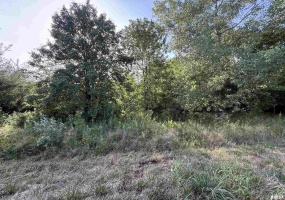 TBD Highway 127, Murphysboro, Illinois 62966, 0 , 0 ,0,Land,For Sale,Highway 127,0,RMAQC4266865
