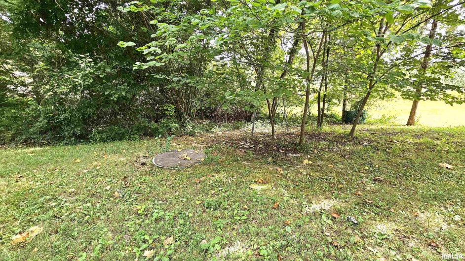 12196 LAGUNA Drive, Marion, Illinois 62959, 4 Bedrooms Bedrooms, 0 ,3 BathroomsBathrooms,Residential,For Sale,LAGUNA,0,RMAEB459507