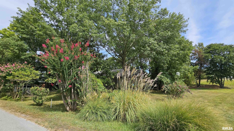 12196 LAGUNA Drive, Marion, Illinois 62959, 4 Bedrooms Bedrooms, 0 ,3 BathroomsBathrooms,Residential,For Sale,LAGUNA,0,RMAEB459507