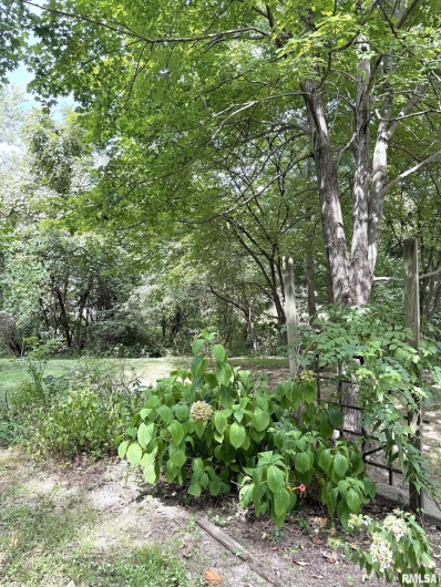 12196 LAGUNA Drive, Marion, Illinois 62959, 4 Bedrooms Bedrooms, 0 ,3 BathroomsBathrooms,Residential,For Sale,LAGUNA,0,RMAEB459507