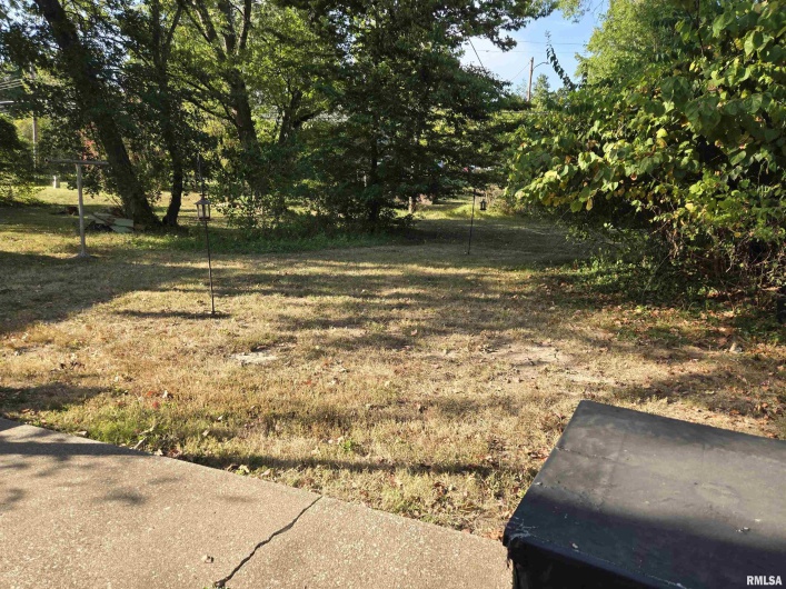 1110 Walkup Street, Carbondale, Illinois 62901, 2 Bedrooms Bedrooms, 0 ,2 BathroomsBathrooms,Residential,For Sale,Walkup,0,RMAEB459531