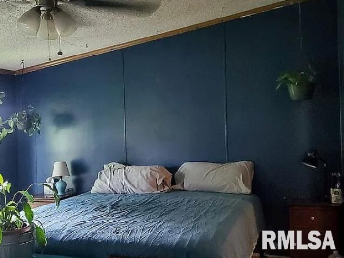 4295 Lick Creek Road, Buncombe, Illinois 62912, 3 Bedrooms Bedrooms, 0 ,2 BathroomsBathrooms,Residential,For Sale,Lick Creek,0,RMAQC4266931