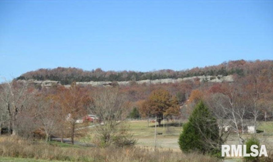 4295 Lick Creek Road, Buncombe, Illinois 62912, 3 Bedrooms Bedrooms, 0 ,2 BathroomsBathrooms,Residential,For Sale,Lick Creek,0,RMAQC4266931