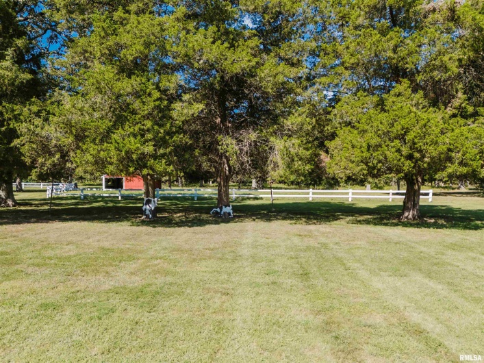 14655 CHRISTMAS TREE Road, Johnston City, Illinois 62951, 3 Bedrooms Bedrooms, 0 ,1 BathroomBathrooms,Residential,For Sale,CHRISTMAS TREE,0,RMAQC4266934