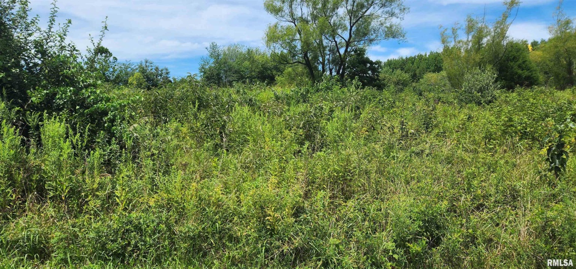 85 Maggie Lane, Makanda, Illinois 62958, 0 , 0 ,0,Land,For Sale,Maggie,0,RMAEB459560