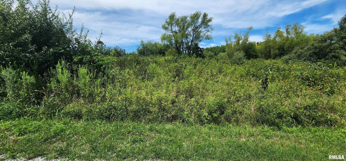 85 Maggie Lane, Makanda, Illinois 62958, 0 , 0 ,0,Land,For Sale,Maggie,0,RMAEB459560