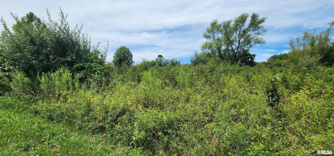85 Maggie Lane, Makanda, Illinois 62958, 0 , 0 ,0,Land,For Sale,Maggie,0,RMAEB459560