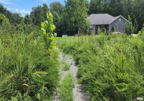 85 Maggie Lane, Makanda, Illinois 62958, 0 , 0 ,0,Land,For Sale,Maggie,0,RMAEB459560