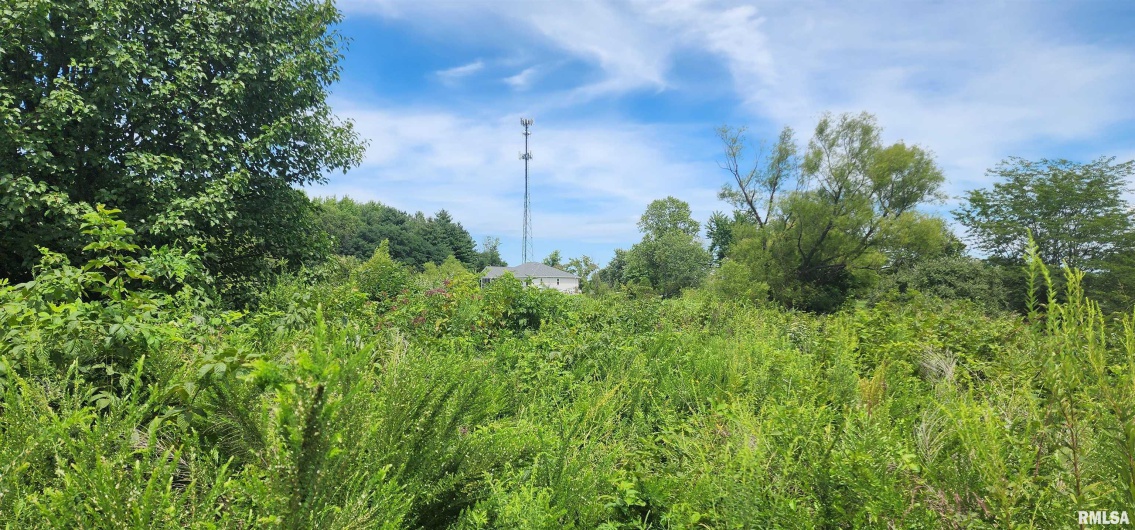 85 Maggie Lane, Makanda, Illinois 62958, 0 , 0 ,0,Land,For Sale,Maggie,0,RMAEB459560