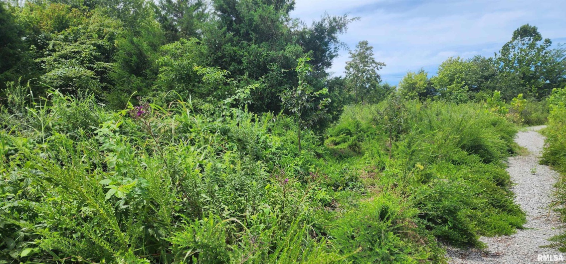 85 Maggie Lane, Makanda, Illinois 62958, 0 , 0 ,0,Land,For Sale,Maggie,0,RMAEB459560