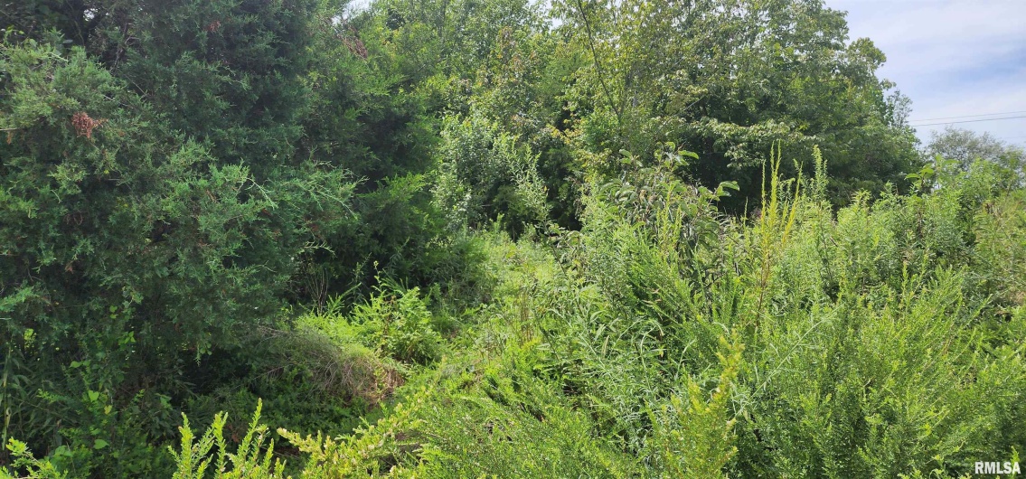 85 Maggie Lane, Makanda, Illinois 62958, 0 , 0 ,0,Land,For Sale,Maggie,0,RMAEB459560