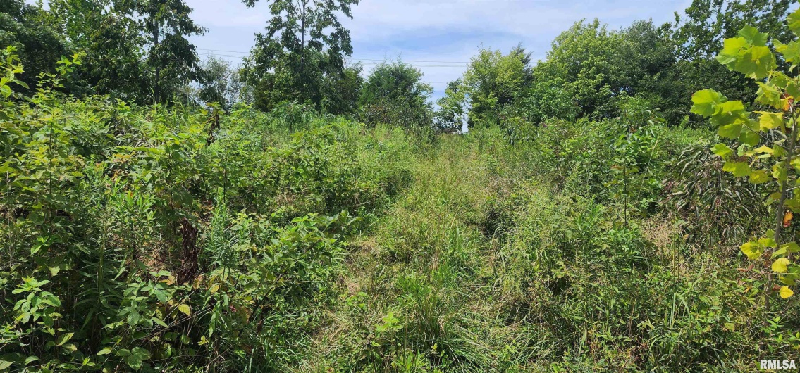 85 Maggie Lane, Makanda, Illinois 62958, 0 , 0 ,0,Land,For Sale,Maggie,0,RMAEB459560