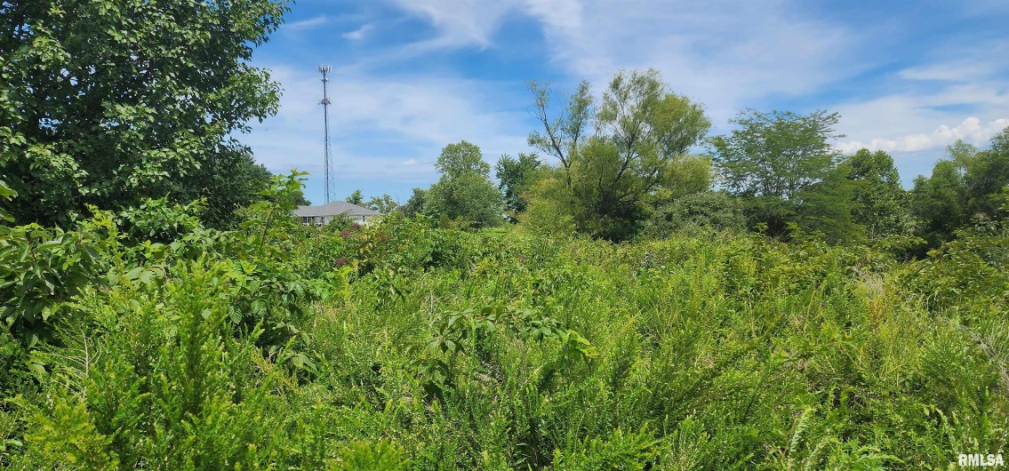 85 Maggie Lane, Makanda, Illinois 62958, 0 , 0 ,0,Land,For Sale,Maggie,0,RMAEB459560
