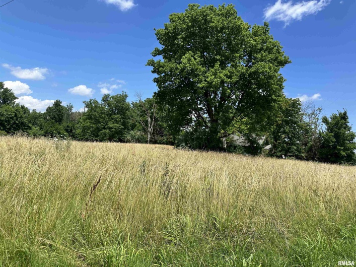 7100 Highway 34 Highway, Raleigh, Illinois 62977-1407, 3 Bedrooms Bedrooms, 0 ,1 BathroomBathrooms,Residential,For Sale,Highway 34,0,RMAEB459578