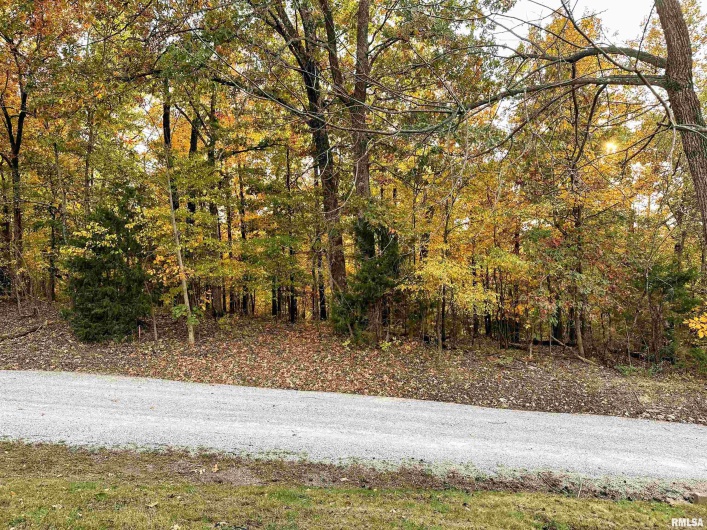73 Upper Brush Hill Road, Carbondale, Illinois 62901, 3 Bedrooms Bedrooms, 0 ,3 BathroomsBathrooms,Residential,For Sale,Upper Brush Hill,0,RMAEB459213