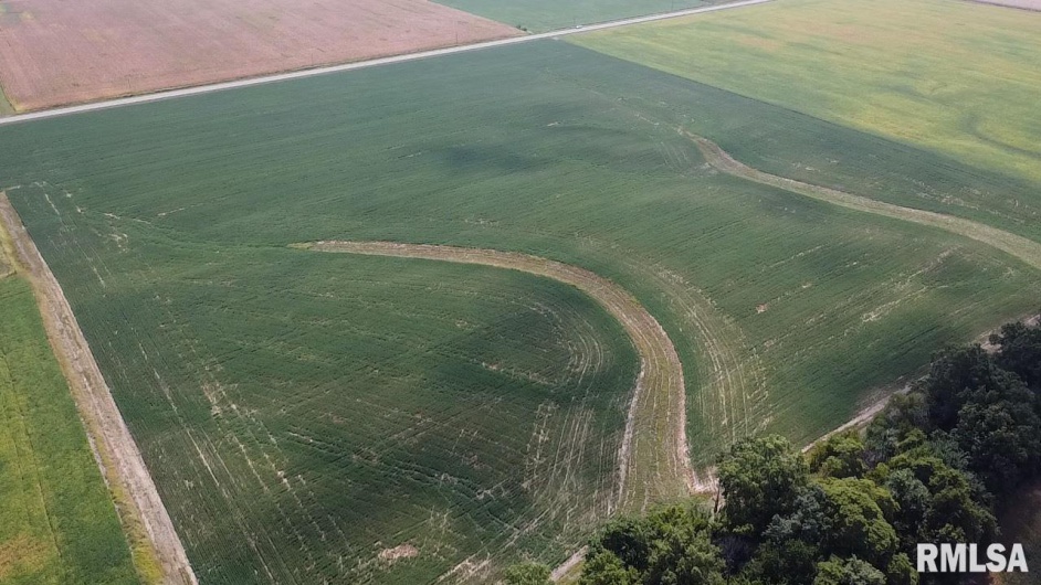 8027 COUNTY LINE Road, Cutler, Illinois 62238, 0 , 0 ,0,Land,For Sale,COUNTY LINE,0,RMAQC4267074
