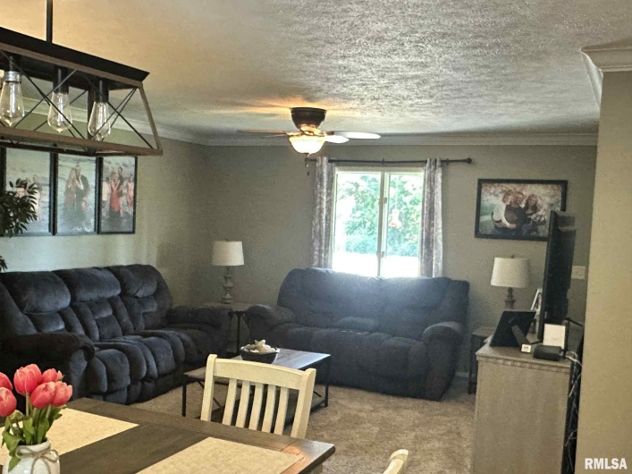 604 Shoal Creek Road, Murphysboro, Illinois 62966, 4 Bedrooms Bedrooms, 0 ,3 BathroomsBathrooms,Residential,For Sale,Shoal Creek,0,RMAEB459614