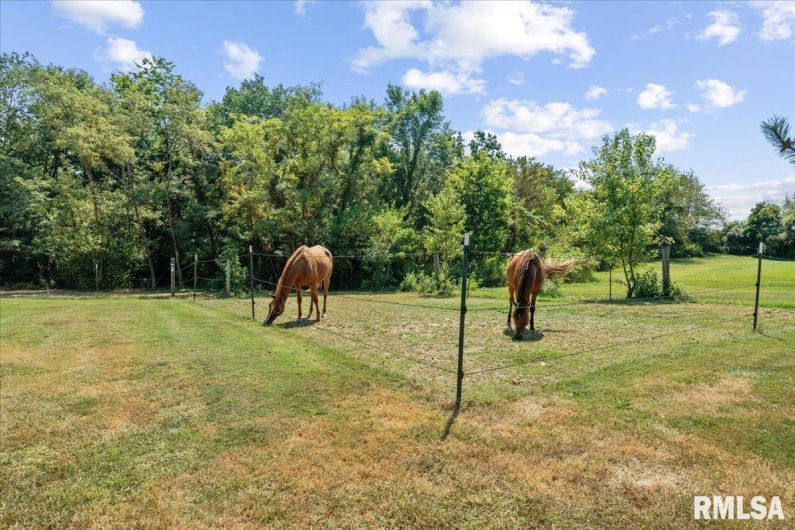 85 GOLDENROD Lane, Goreville, Illinois 62939, 3 Bedrooms Bedrooms, 0 ,2 BathroomsBathrooms,Residential,For Sale,GOLDENROD,0,RMAEB459627
