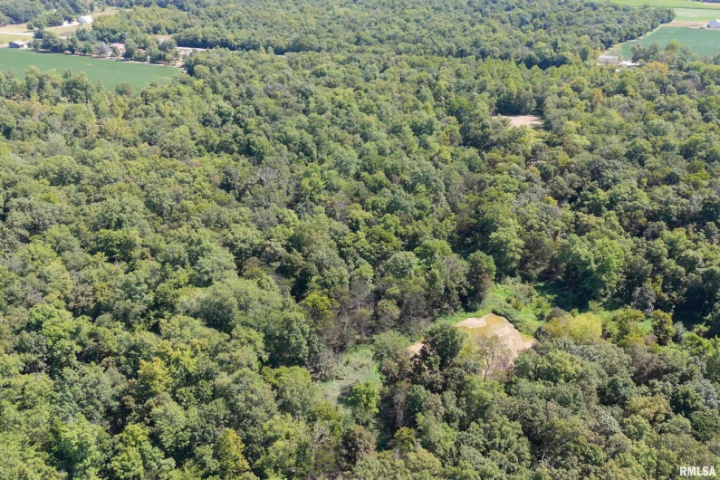 000 Khoury League Road, Marion, Illinois 62959, 0 , 0 ,0,Land,For Sale,Khoury League,0,RMAEB459637