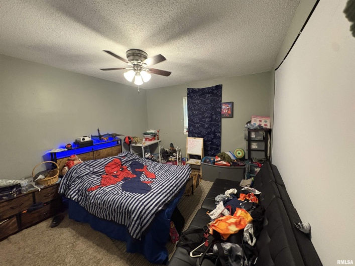 800 Giant City Road, Carbondale, Illinois 62901, 3 Bedrooms Bedrooms, 0 ,1 BathroomBathrooms,Residential,For Sale,Giant City,0,RMAEB459639