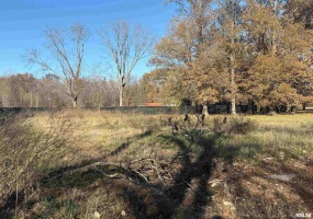 306 ORANGE Street, Hurst, Illinois 62841, 0 , 0 ,0,Land,For Sale,ORANGE,0,RMAEB459665