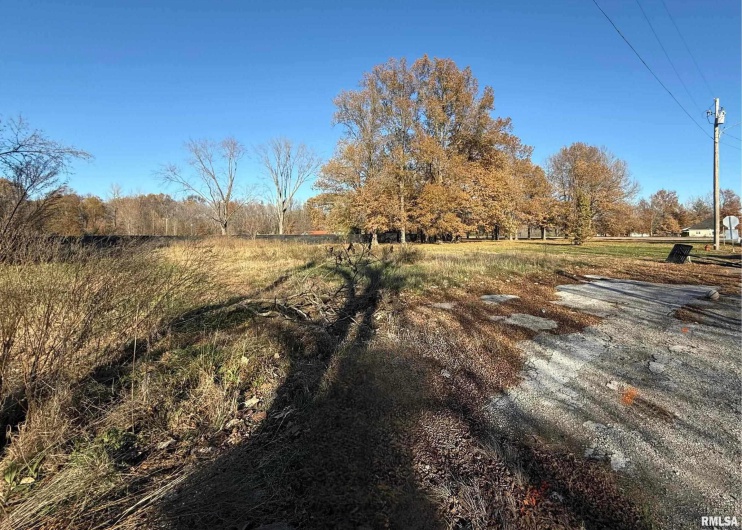 306 ORANGE Street, Hurst, Illinois 62841, 0 , 0 ,0,Land,For Sale,ORANGE,0,RMAEB459665