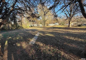 432 Seba Street, Hurst, Illinois 62949, 0 , 0 ,0,Land,For Sale,Seba,0,RMAEB459664