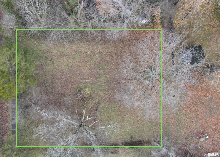 432 Seba Street, Hurst, Illinois 62949, 0 , 0 ,0,Land,For Sale,Seba,0,RMAEB459664