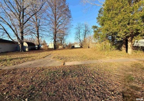 123 Pulley Street, Hurst, Illinois 62949, 0 , 0 ,0,Land,For Sale,Pulley,0,RMAEB459666